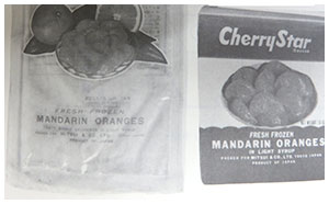 冷凍みかんをアメリカへ初輸出